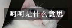 Ǻʲô˼?ЦĔM~W(wng)j(lu)ZбʾS