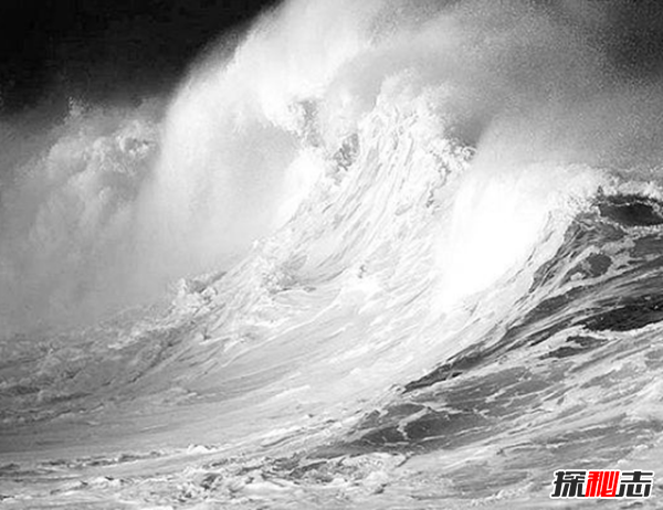 盤點(diǎn)各地發(fā)生的奇異事件,云南山村一母豬生8個(gè)男嬰兒(怪事連連)