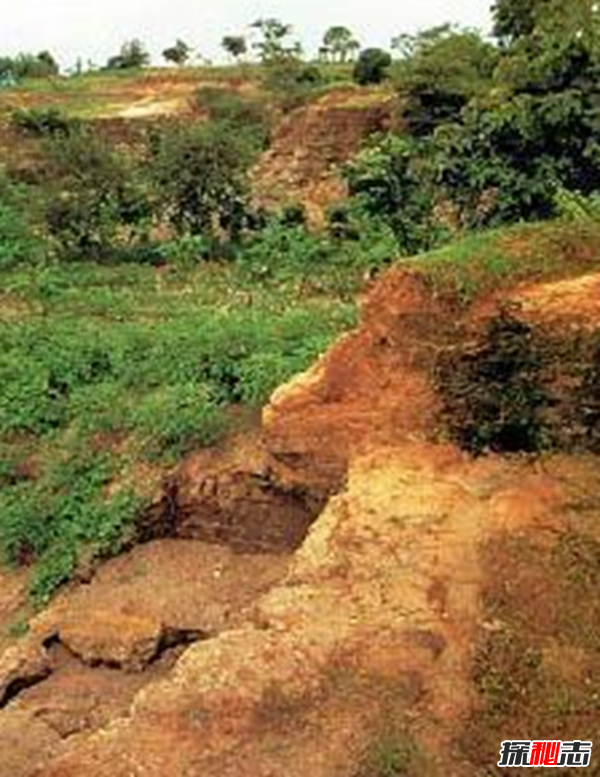 盤點(diǎn)各地發(fā)生的奇異事件,云南山村一母豬生8個(gè)男嬰兒(怪事連連)