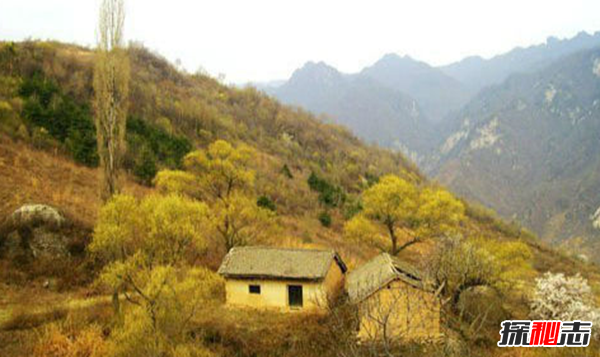 盤點(diǎn)各地發(fā)生的奇異事件,云南山村一母豬生8個(gè)男嬰兒(怪事連連)