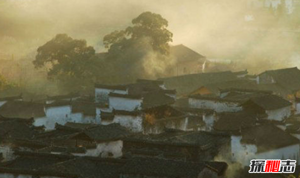 盤點(diǎn)各地發(fā)生的奇異事件,云南山村一母豬生8個(gè)男嬰兒(怪事連連)
