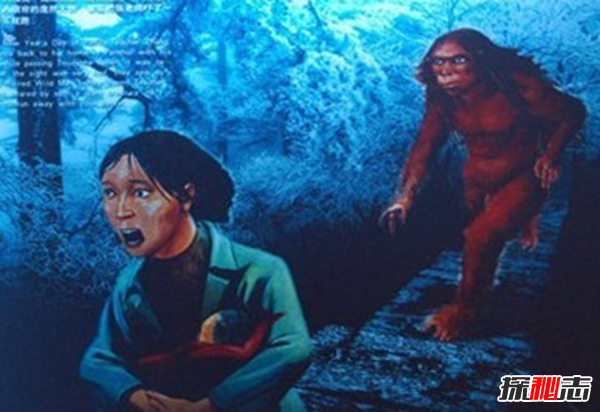 盤點(diǎn)各地發(fā)生的奇異事件,云南山村一母豬生8個(gè)男嬰兒(怪事連連)