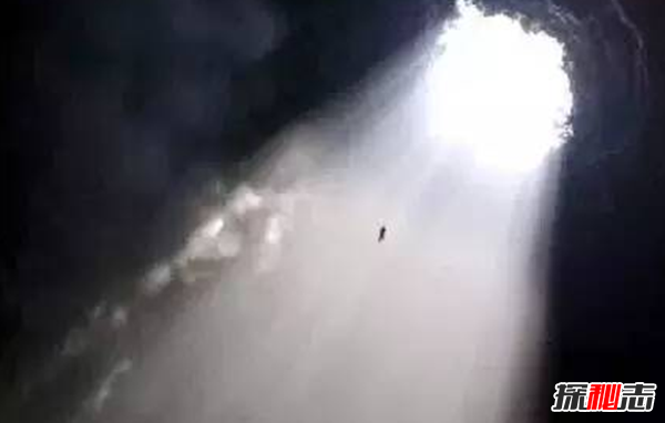 盤點(diǎn)各地發(fā)生的奇異事件,云南山村一母豬生8個(gè)男嬰兒(怪事連連)