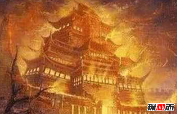 盤點(diǎn)各地發(fā)生的奇異事件,云南山村一母豬生8個(gè)男嬰兒(怪事連連)