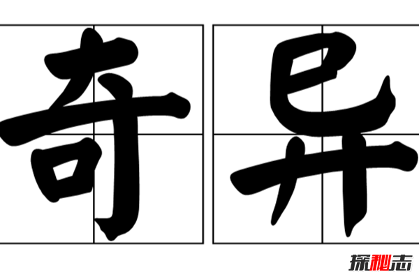 盤點(diǎn)各地發(fā)生的奇異事件,云南山村一母豬生8個(gè)男嬰兒(怪事連連)