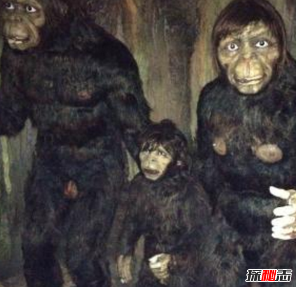 中國(guó)神秘事件有哪些?貴州遵義時(shí)光隧道能倒退一小時(shí)