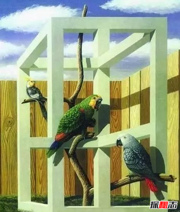 嚇?biāo)廊?詭異圖片大全,詭異圖片看5秒產(chǎn)生幻覺