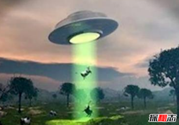 @Ą(dng)!ufo¼P(pn)c(din),ufoL挍(sh)¼C(j)
