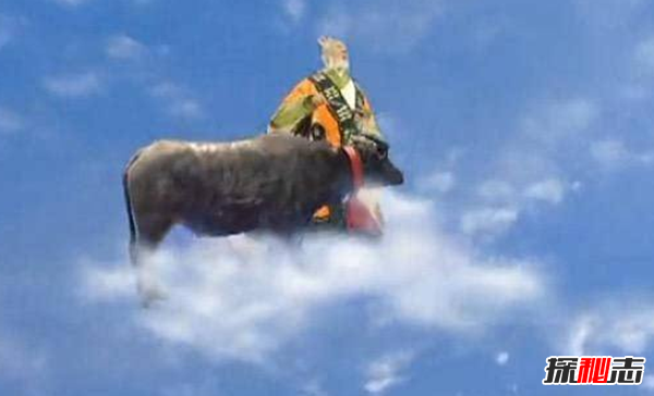 ţʲôţ?ţāv(̫ϾFT)
