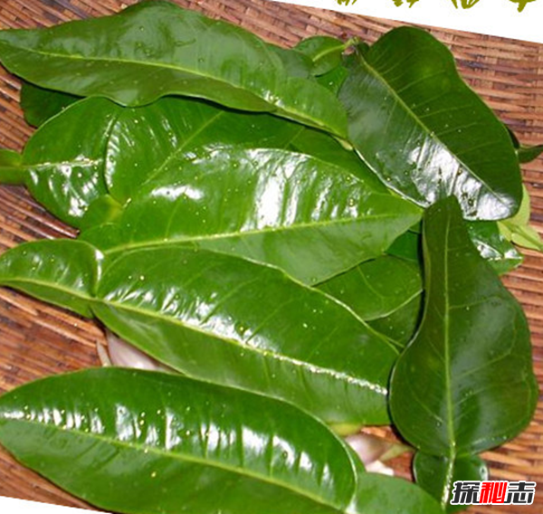 辟邪的東西有哪些?實(shí)用的十大辟邪物品(剪刀辟邪驅(qū)鬼?yè)跎窔?