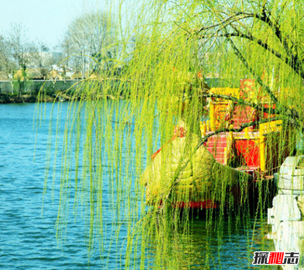 千萬(wàn)別種!十種招鬼的樹(shù),芭蕉樹(shù)易招惹陰穢之物(女鬼附著物)
