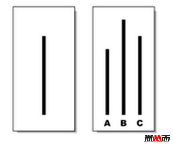 ʲôW(xu)Ҫ?ʷϽ(jng)ʮW(xu)(sh)(yn)((f)s)