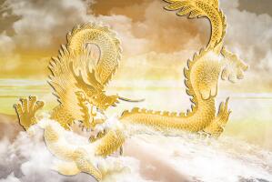 Ї(qing)ʲô(qing)/ֻлʵ۲