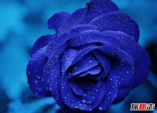 你最喜歡什么顏色?關(guān)于顏色的12個(gè)精彩事實(shí)