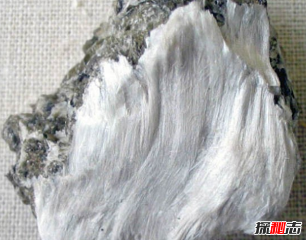 天然不等于無(wú)害!生活中常見的15大天然產(chǎn)品
