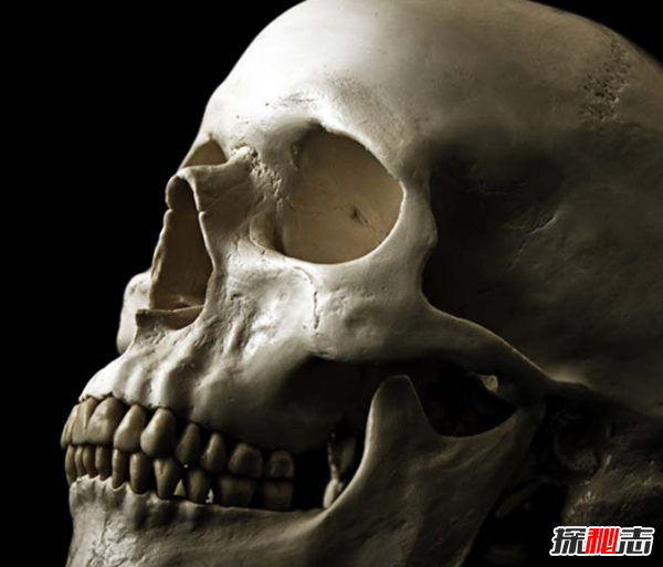 常見的意外死亡有哪些?最普遍的十大意外死亡案例