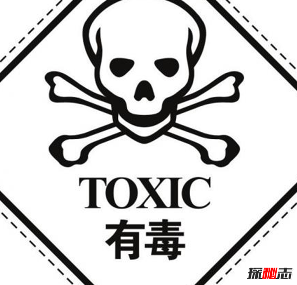 ʲôֲΣU(xin)?Pc(din)12ΣU(xin)ֲ