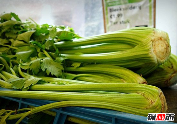 導(dǎo)致分手的原因有哪些?12個(gè)情侶分手奇葩理由