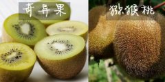 JҺ殐ą^(q)e J殐һN|