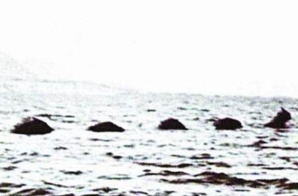 WŲĴچWŲżoƬĆ