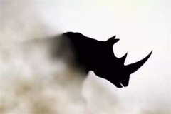 Ϭţ¼ʲô˼Ϭţһ~