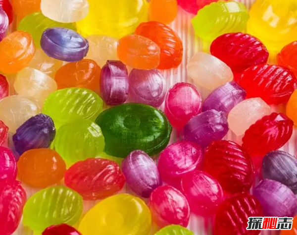 養(yǎng)狗第一天就后悔了?狗狗不能吃的10種食物
