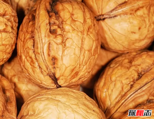 養(yǎng)狗第一天就后悔了?狗狗不能吃的10種食物