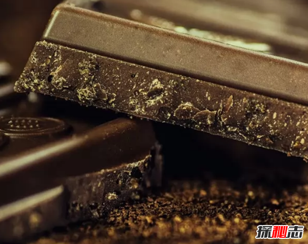 養(yǎng)狗第一天就后悔了?狗狗不能吃的10種食物