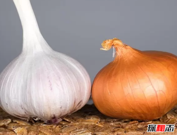 養(yǎng)狗第一天就后悔了?狗狗不能吃的10種食物