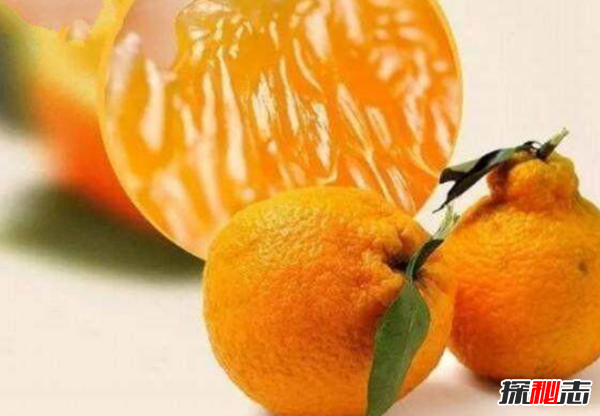 哪幾種水果最貴?盤(pán)點(diǎn)世界上最貴的十大水果