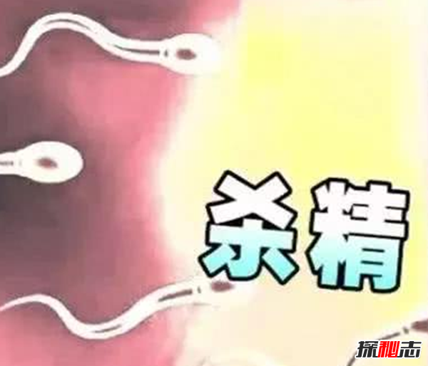 ɘ°ɘǚ?(ƌW(xu))