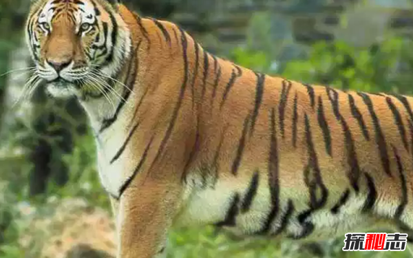 ʮ(qing)ʳ(dng),_(d)70L(zhng)