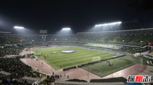 TIFO,(xi)ʲô