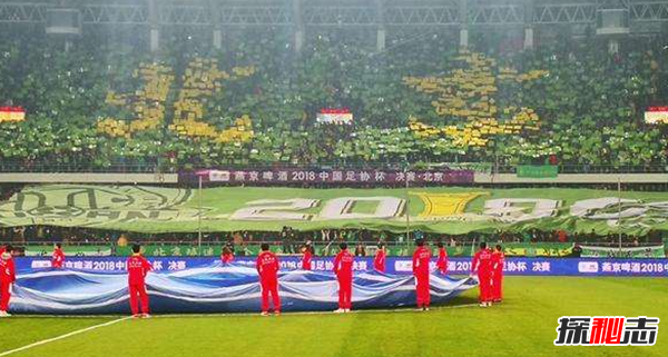 TIFO,(xi)ʲô