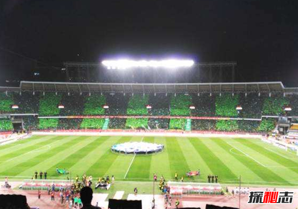 TIFO,(xi)ʲô