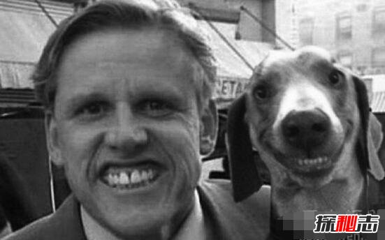 ΢Цʲô^Smile Dog˶(đС)