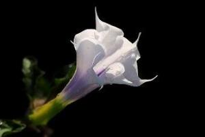ŴGɺˎL˯(_Ƴɵˎ)
