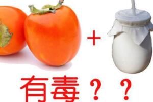 㽶̿һԆһԣһҪģ