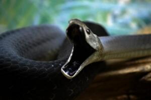 Ķߣһ6(һڶɚ20)