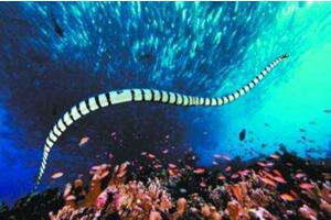 ؐغ߶һ˃H0.01mlҺ