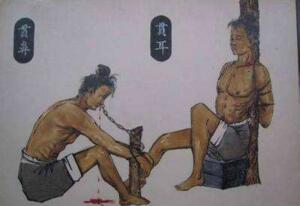 Pc(din)Ї(gu)ŴPƤضu׌^Ƥl(f)()