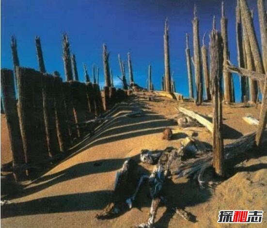 新疆復(fù)制人是真的嗎?1956新疆復(fù)制人事件全解密